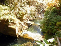 DSCN9842 DSCN9842