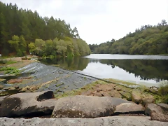DSCN7346 DSCN7346