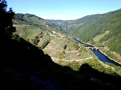 DSCN4206 DSCN4206