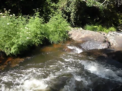 DSCN2789 DSCN2789