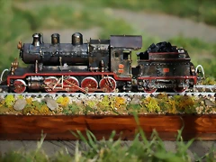 DSC02695 (Medium)