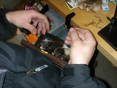 DSCN5687 DSCN5687