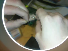 DSCN5684 DSCN5684