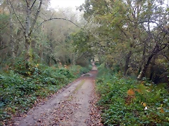 DSCN1155 DSCN1155