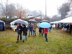 DSCN0241 DSCN0241