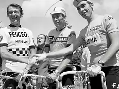 TDF-PINGEON-GIMONDI-MERCKX