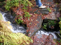 DSCN0662 DSCN0662