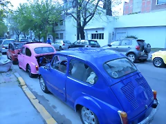 P1180396 P1180396