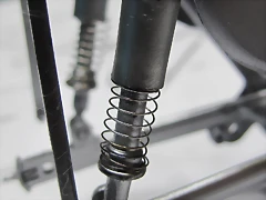 IMG_2513 IMG_2513