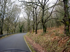 IMG_2363 IMG_2363