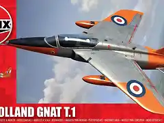 gnat1