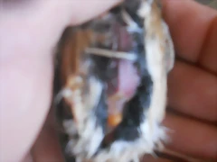 DSCN9753