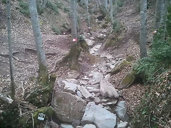 zona 16
