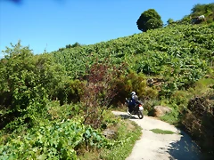 DSCN4153