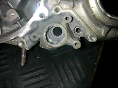DSCN3644 DSCN3644