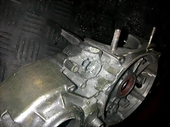 DSCN3648 DSCN3648