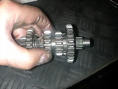 DSCN3684 DSCN3684