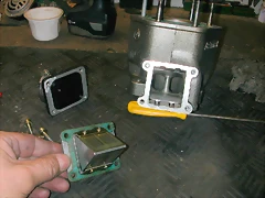 DSCN3938 DSCN3938