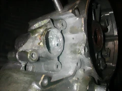 DSCN3645 DSCN3645