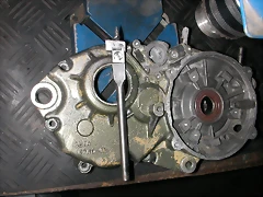 DSCN3919 DSCN3919