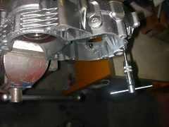 DSCN3664 DSCN3664