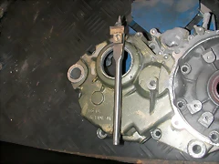 DSCN3920 DSCN3920