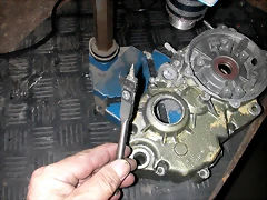 DSCN3922 DSCN3922