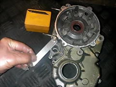 DSCN3677 DSCN3677