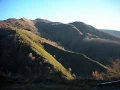 DSCN2401 DSCN2401