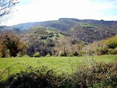 DSCN3976