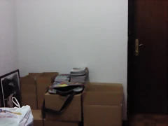 Foto0531