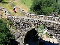 IMG_7745 IMG_7745