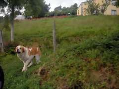 DSCN8389 DSCN8389