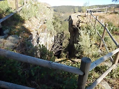 DSCN9014 DSCN9014