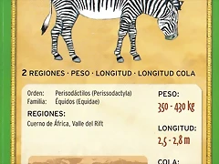 cebra de grevy