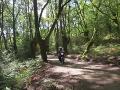 IMG_2747 IMG_2747