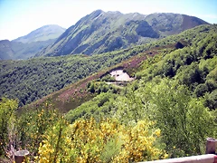 DSCN8499 DSCN8499