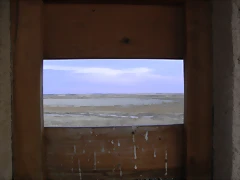 R0010774