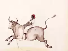Prueba de toro montado