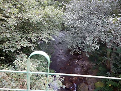 DSCN9823 DSCN9823