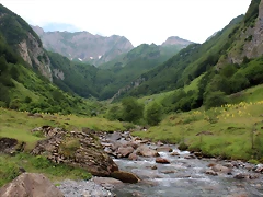 IMG_7598 IMG_7598