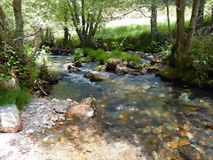 DSCN9183 DSCN9183