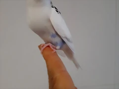 20190609_124704 20190609_124704