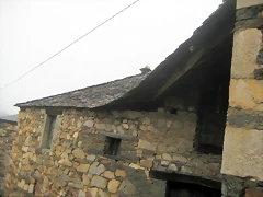 IMG_0394 IMG_0394