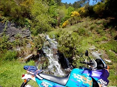 DSCN9398 DSCN9398