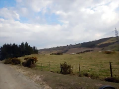 DSCN9543 DSCN9543