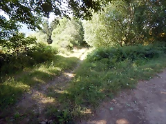 DSCN9236 DSCN9236