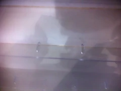 IMG_0257 IMG_0257