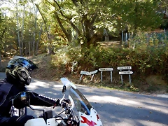 DSCN7735 DSCN7735