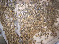 Abejas fuera del alza